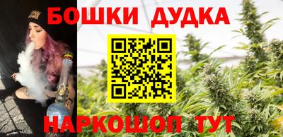 сатива Лесосибирск