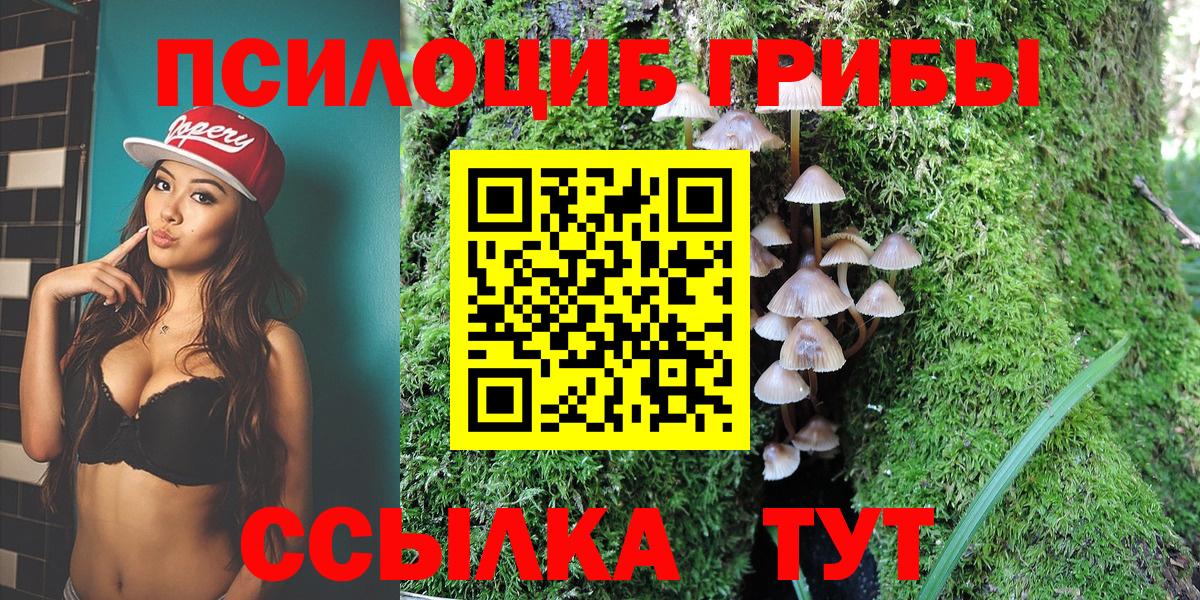 Галлюциногенные грибы Psilocybine cubensis  купить  сайты  Томск  Псилоцибиновые грибы Cubensis  Вход с VPN 